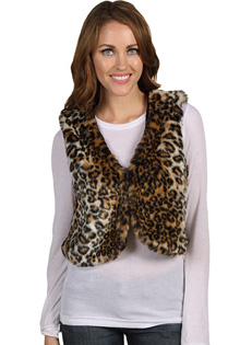 Jacheta Steve Madden Leopard